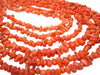 Coral Beads